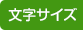 文字サイズ